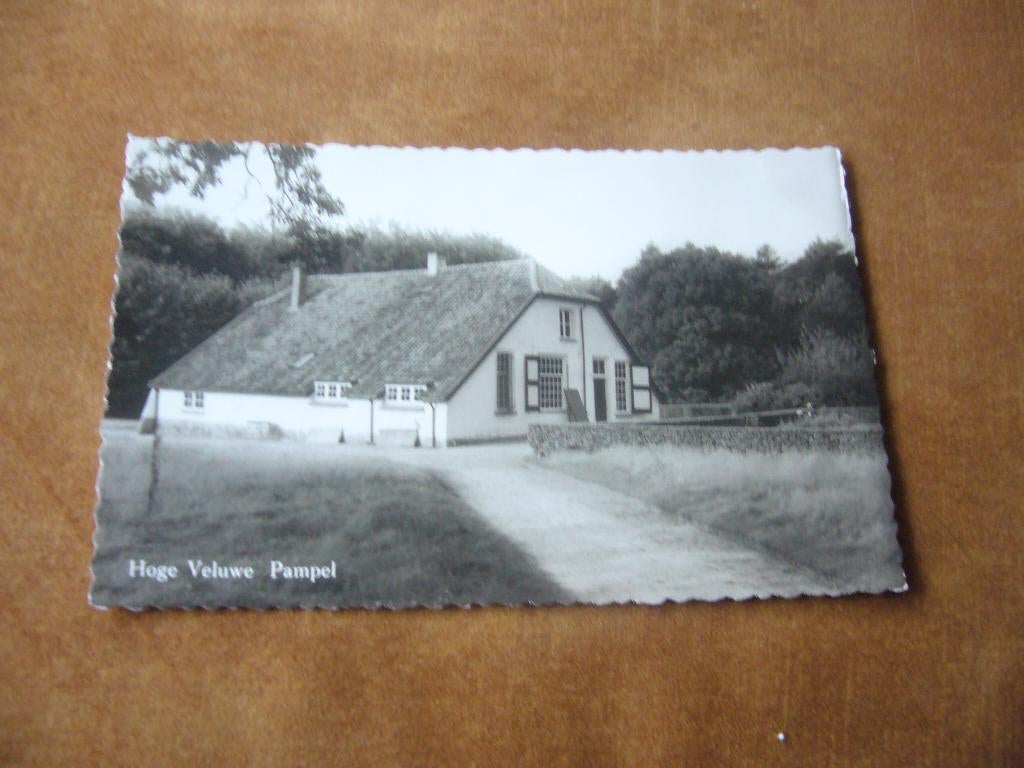 HOENDERLOO  =   HOGE VELUWE PAMPEL, Ophalen of Verzenden, 1940 tot 1960, Ongelopen, Gelderland