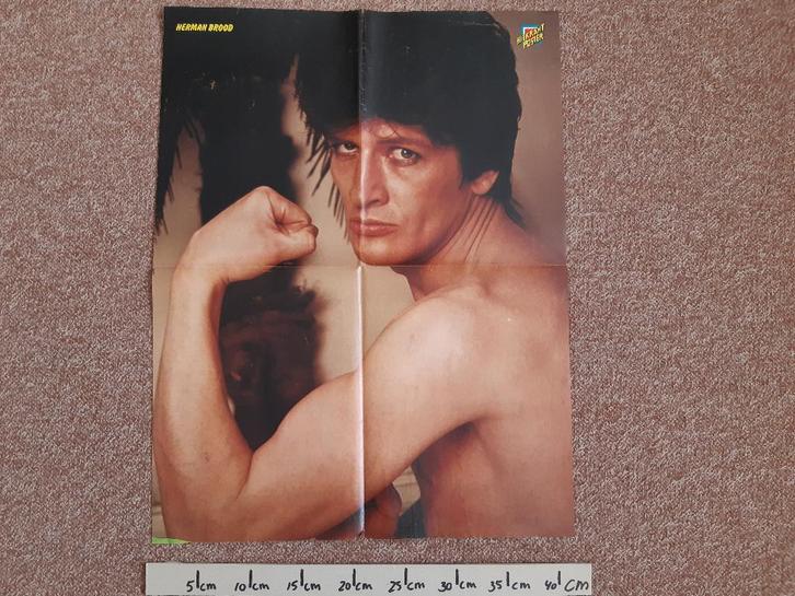 Poster Herman Brood Hitkrant Paul McCartney A2 41x54 cm, Verzamelen, Posters, Gebruikt, Muziek, A1 t/m A3, Rechthoekig Staand