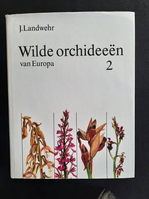 Wilde orchideen van Europa. Deel 2 . J. Landwehr, Ophalen of Verzenden, Gelezen, J. Landwehr