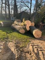 Eikenhout stammen - Haardhout - brandhout - eikenhout, 6 m³ of meer, Ophalen, Eikenhout, Stammen