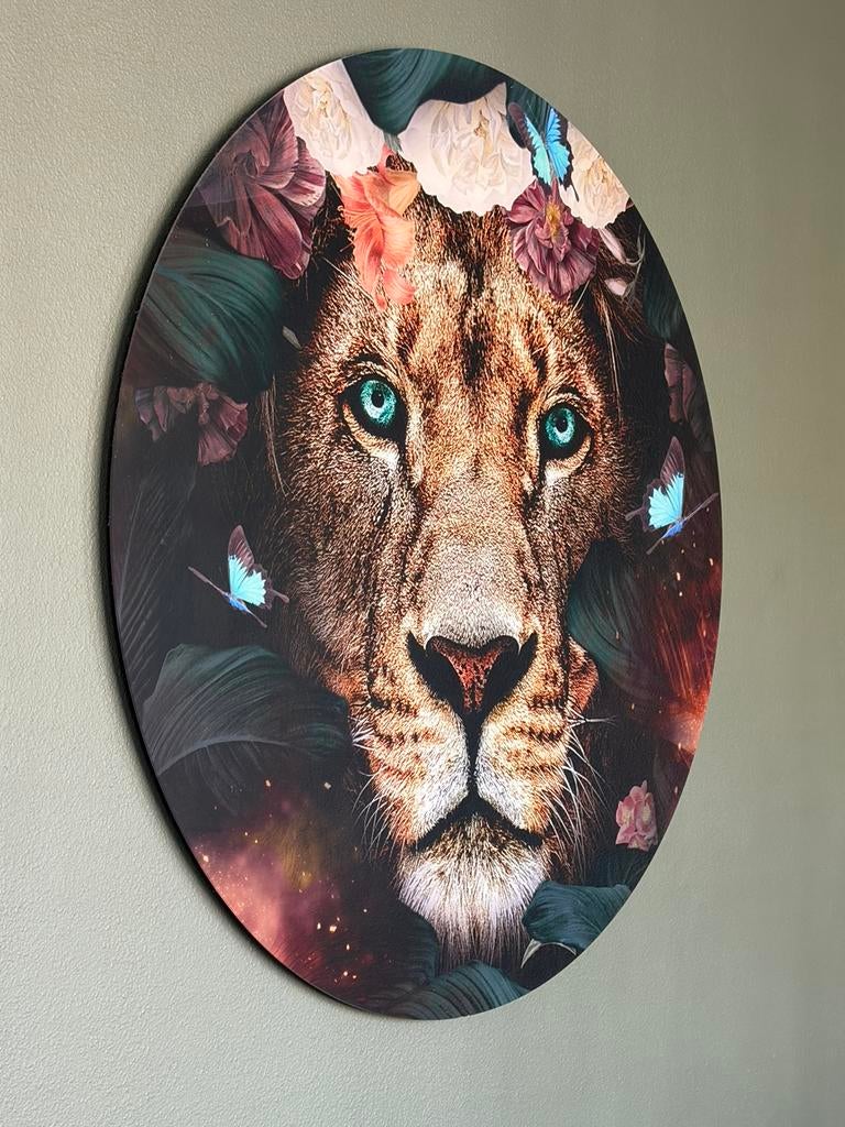 Muurcirkel van plexiglas, Ophalen, Zo goed als nieuw