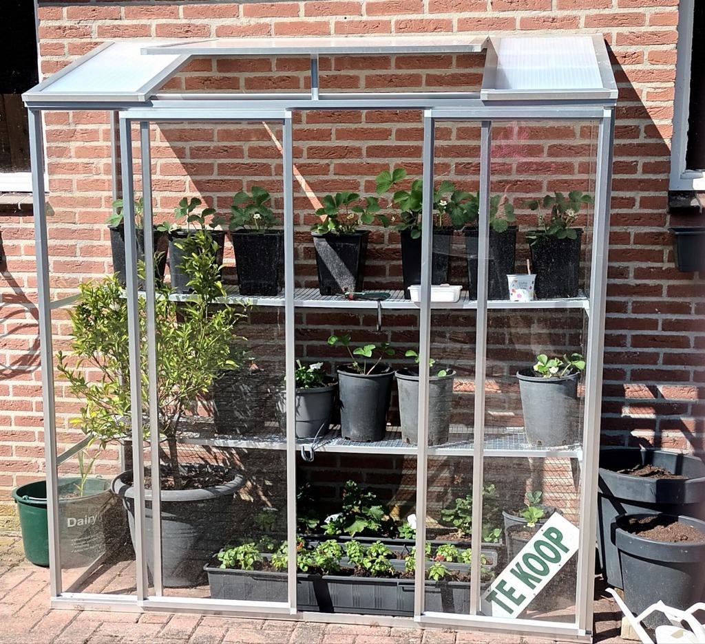 Nieuw! Wand kas, planten kas, tuinkas van aluminium, Muurkas, Overige materialen, Nieuw, Ophalen of Verzenden