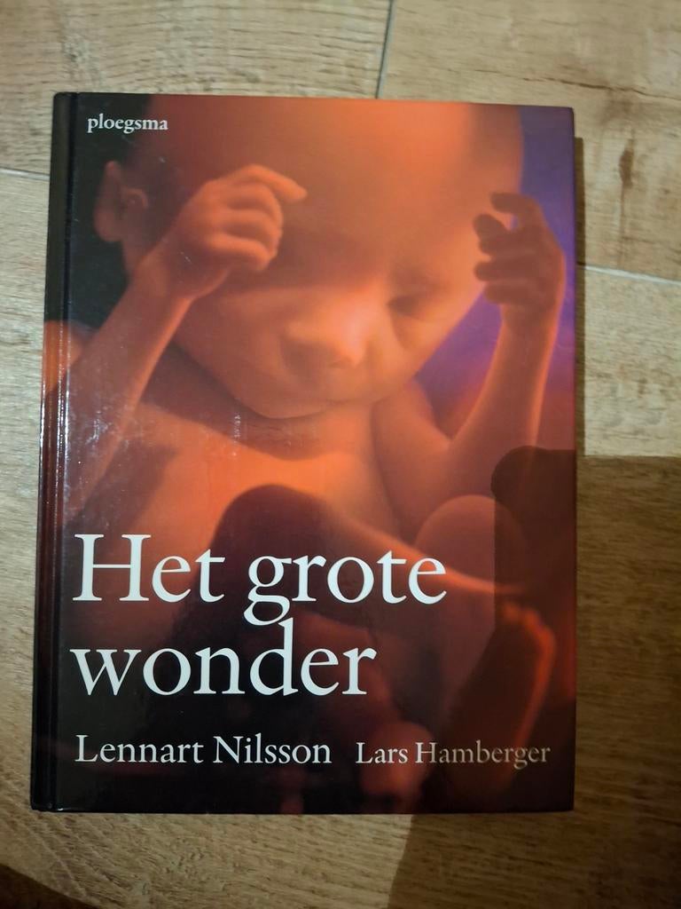 Lars Hamberger - Het grote wonder, Boeken, Zwangerschap en Opvoeding, Zo goed als nieuw, Zwangerschap en Bevalling, Ophalen of Verzenden
