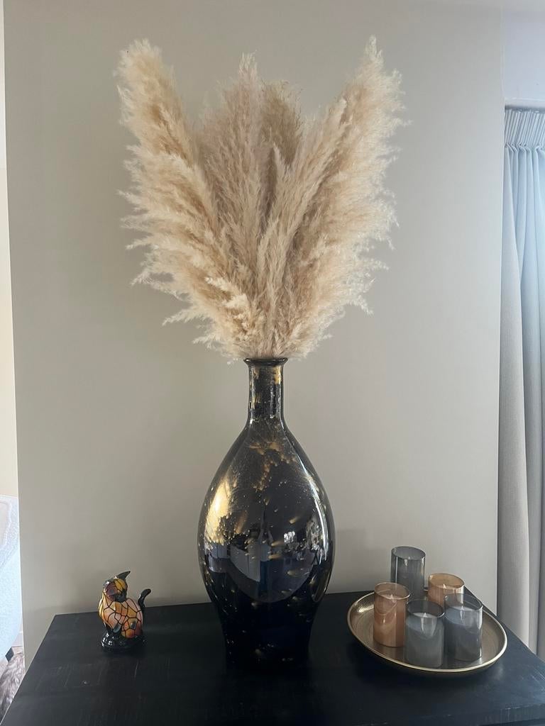 Pampas pluimen, Ophalen, Nieuw