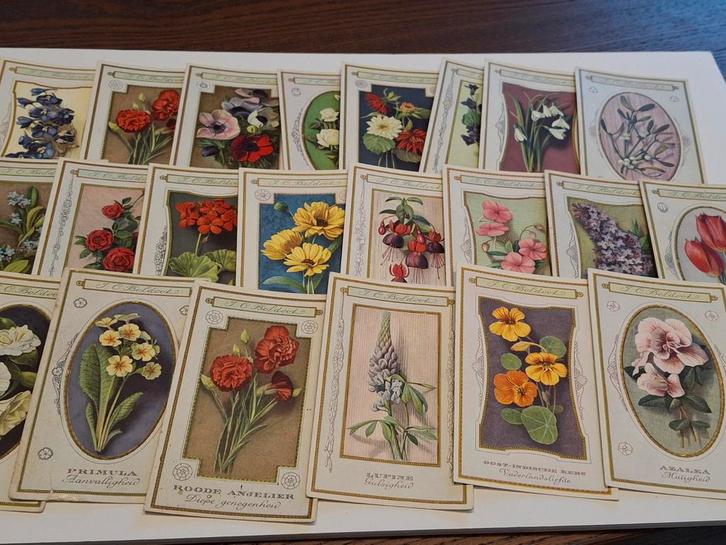 Boldoot kaartjes / spaarkaarten album De Taal der bloemen, Verzamelen, Merken en Reclamevoorwerpen, Zo goed als nieuw, Overige typen