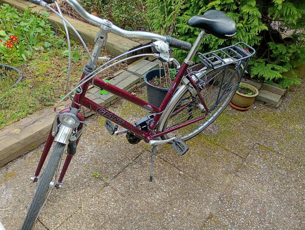 damesfiets, Fietsen en Brommers, Ophalen, Velgrem, Versnellingen, Giant