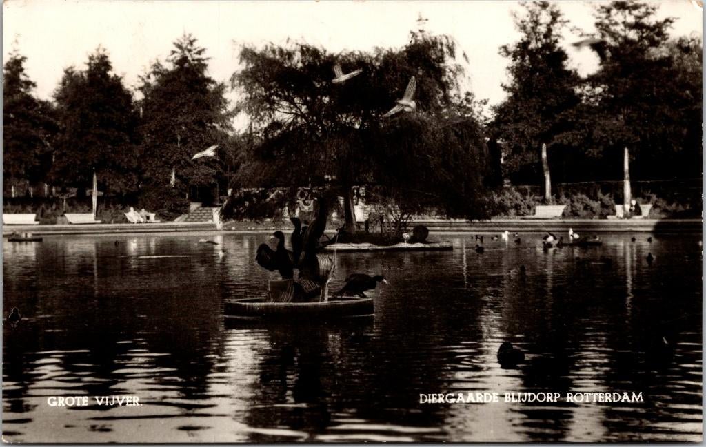 Rotterdam - Diergaarde Blijdorp Grote Vijver (1955), Verzenden, 1940 tot 1960, Gelopen, Zuid-Holland