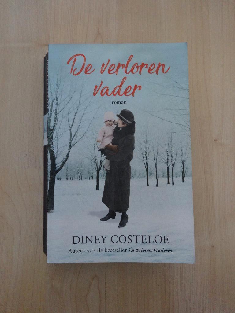 De verloren vader – Diney Costeloe, Ophalen of Verzenden, Zo goed als nieuw