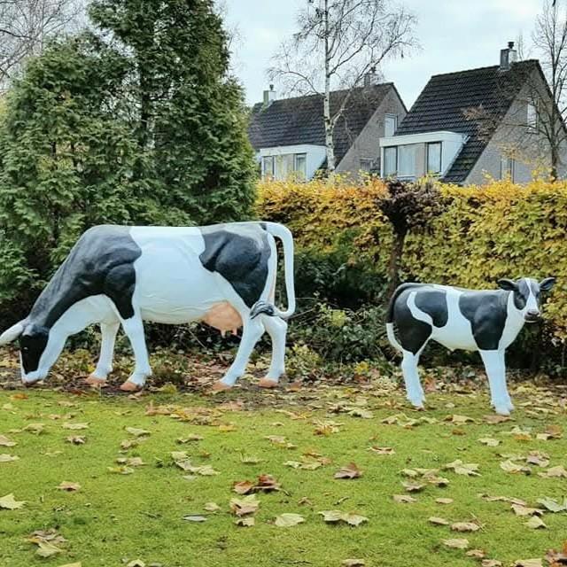 Koe beeld, polyester geit, varken, lammetje, kalf beeld, Tuin en Terras, Tuinbeelden, Nieuw, Dierenbeeld, Kunststof, Ophalen
