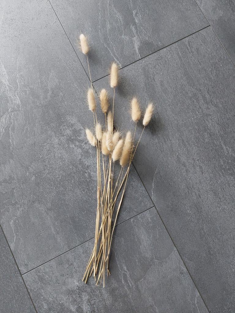 Decoratieve gedroogde pluimen - Pampasgras en Konijnenstaart, Ophalen of Verzenden, Zo goed als nieuw