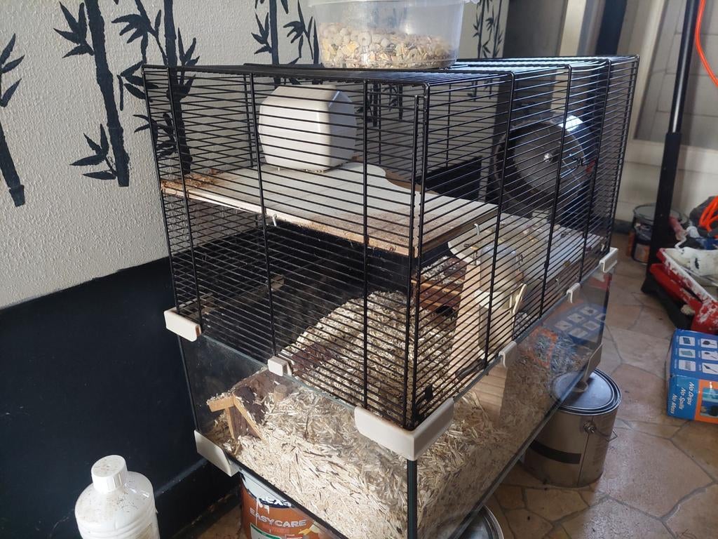 Mooie dwerghamster met kooi, Dieren en Toebehoren, Ophalen, Gebruikt