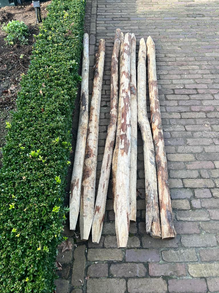 boompalen, Ophalen, Palen, Nieuw, Hardhout