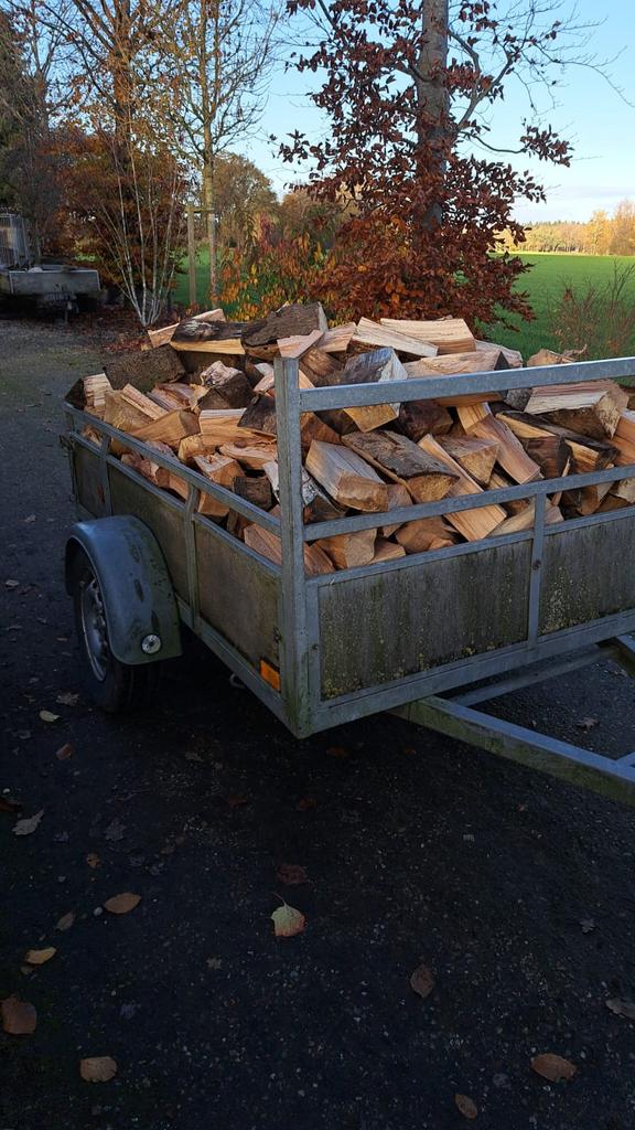 Te koop mooi haardhout., Tuin en Terras, Haardhout, Ophalen of Verzenden