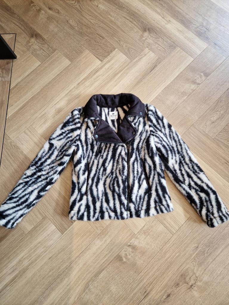 Alwero jasje zebra xs nieuw, Kleding | Dames, Zwart, Nieuw, Maat 34 (XS) of kleiner, Alwero