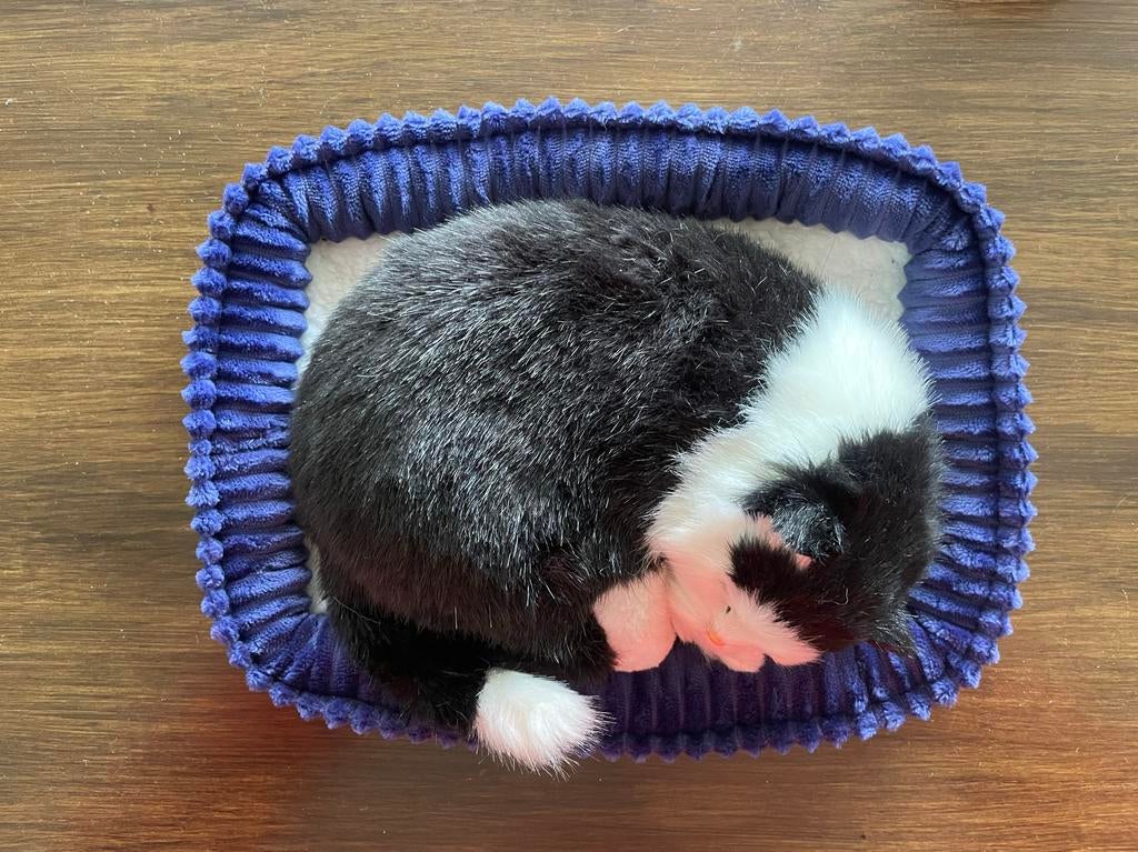 Perfect Petzzz Zwarte en Witte Slapende Kat in Mand, Kinderen en Baby's, Speelgoed | Knuffels en Pluche, Ophalen, Zo goed als nieuw