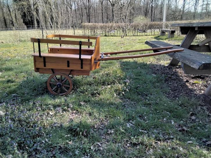 Bokkenkar, Dieren en Toebehoren, Schapen, Geiten en Varkens, Geit, Meerdere dieren