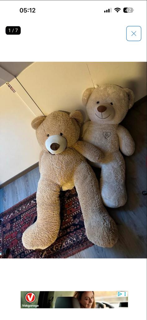 Twee Grote knuffelbeer, Ophalen, Gebruikt, Beer