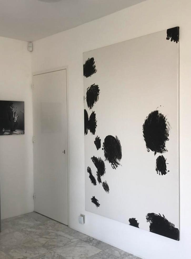 Henk Peeters, nageschilderde koeienhuid, Antiek en Kunst, Kunst | Overige Kunst, Ophalen