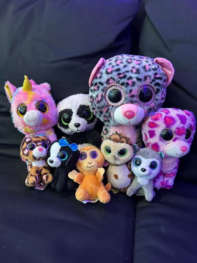diverse ty beanie knuffels, Ophalen of Verzenden, Zo goed als nieuw, Overige typen