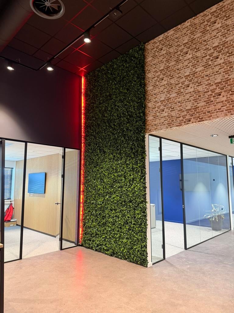 Kunsthaag 🌿 aanbieding op=op vegetatie grof hedera nu €4,95, Tuin en Terras, Overkappingen, Ophalen of Verzenden, Zo goed als nieuw