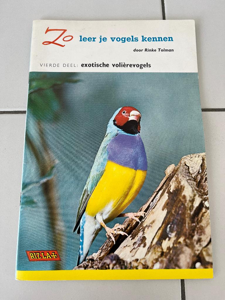 Zo leer je vogels kennen - Rinke Tolman, Ophalen of Verzenden, Vogels, Rinke Tolman, Zo goed als nieuw