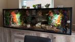 Prachtig groot betonplex terrarium 200 x 62 x 62, Dieren en Toebehoren, Reptielen en Amfibieën | Toebehoren, Ophalen