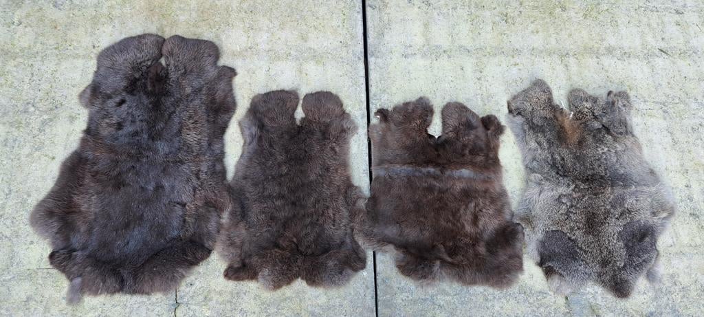 Konijnenvachtjes 4 stuks. 3x donker bruin. 1x gemêleerd, Ophalen of Verzenden