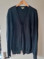 vesten, Ophalen of Verzenden, Zo goed als nieuw, Maat 52/54 (L), Overige kleuren