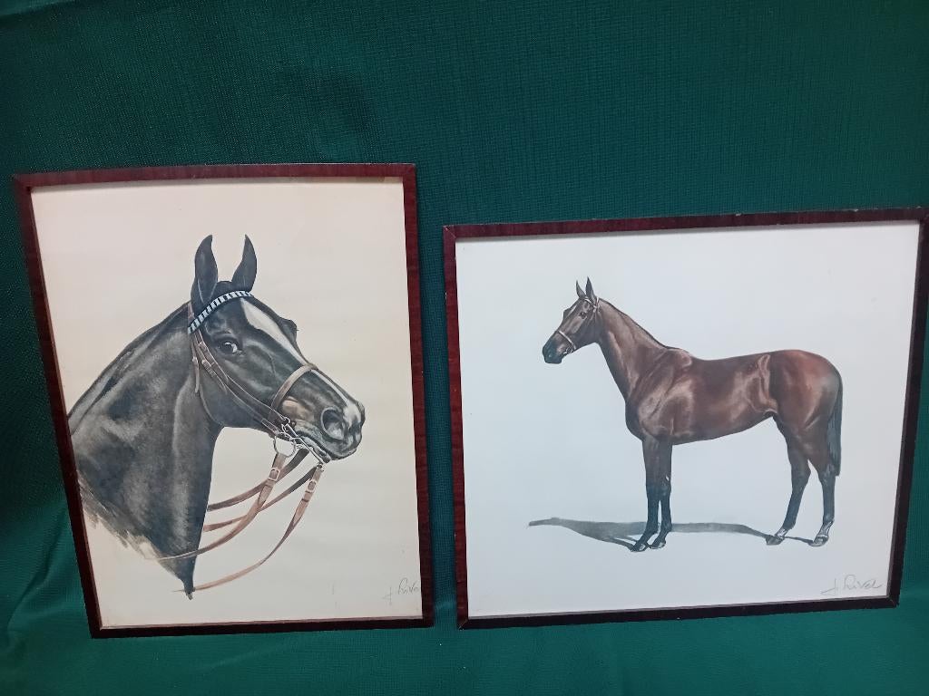 Paarden tekeningen., Ophalen of Verzenden