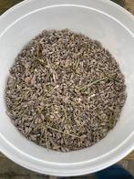 Lavendelzaad wit - Gratis, Ophalen, Gehele jaar, Volle zon, Zaad