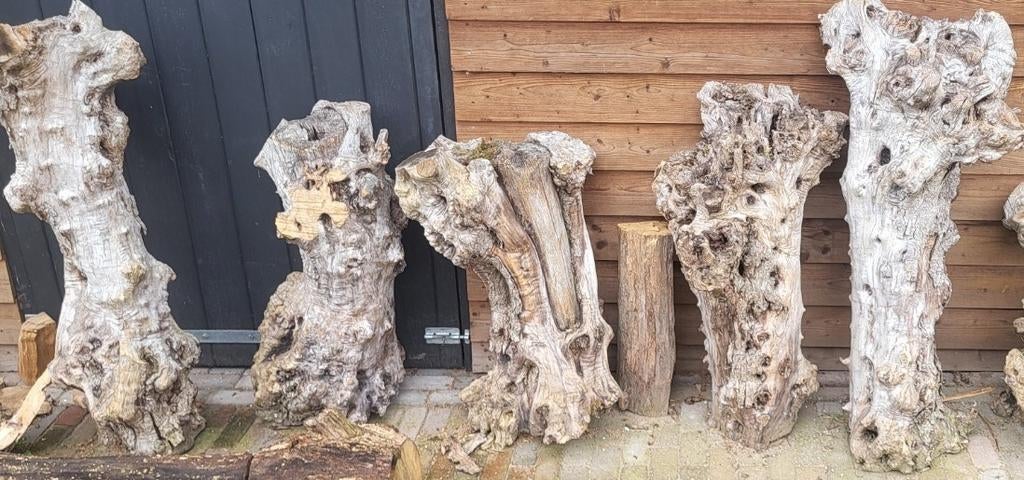 Decoratieve boomstronken voor tuin of interieur, Ophalen, Gebruikt