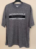 Grijs t shirt maat L, Ophalen of Verzenden, Zo goed als nieuw, Maat 52/54 (L), Grijs