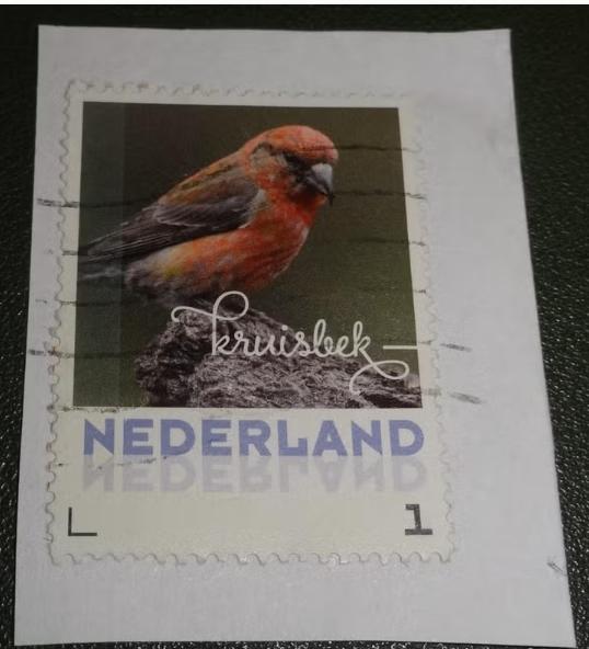 Herfstvogels - 2017 - Persoonlijk - Kruisbek, Verzenden, Na 1940, Gestempeld