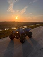 Polaris trailboss 330, 1 cilinder, 330 cc