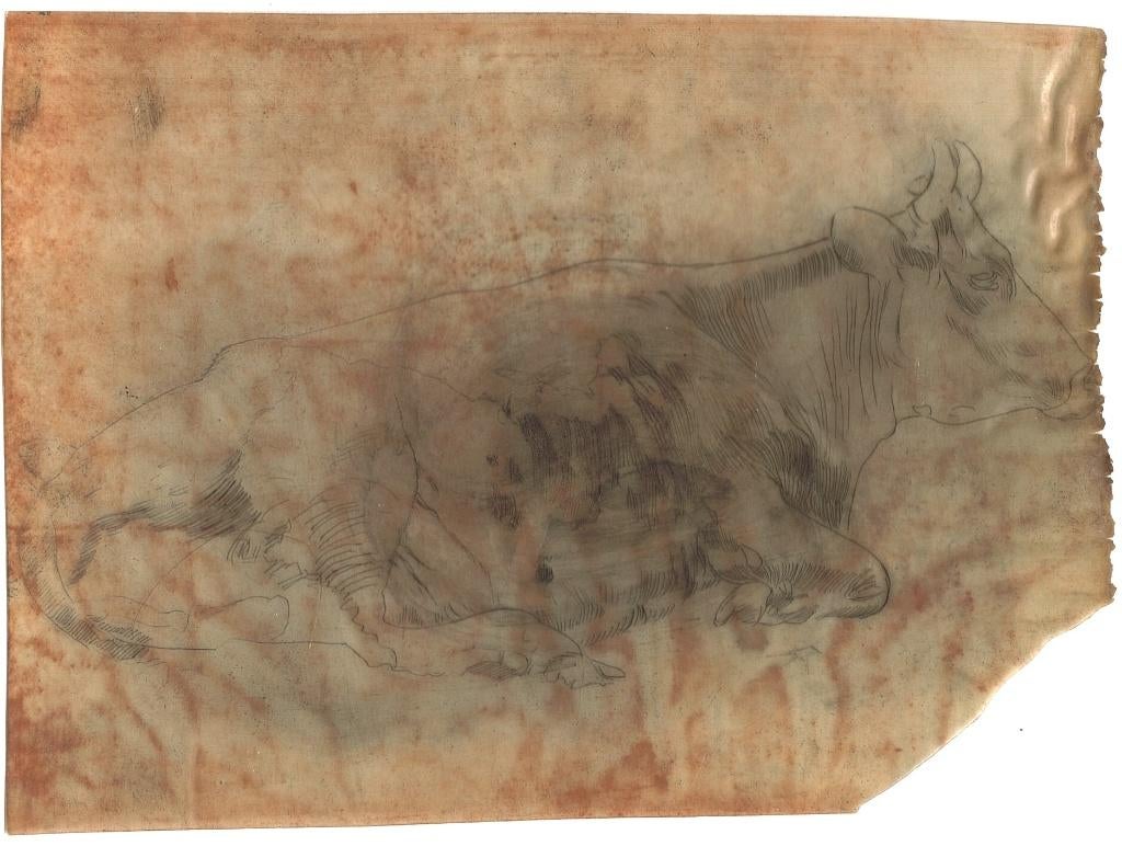 Pieter Dupont droge naald op celluloid "Rustende Koe", 1900, Ophalen, Overige technieken, Origineel, Flora en Fauna