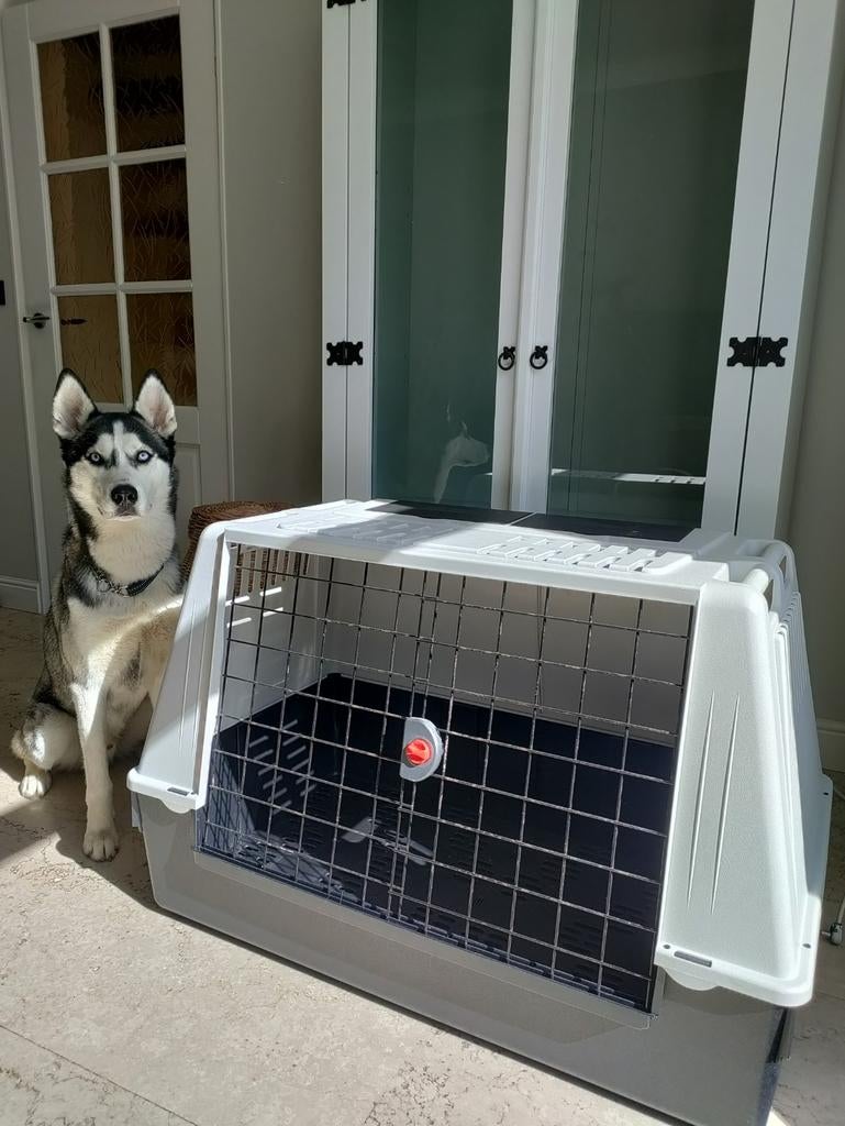 Autobench, Ophalen, Zo goed als nieuw