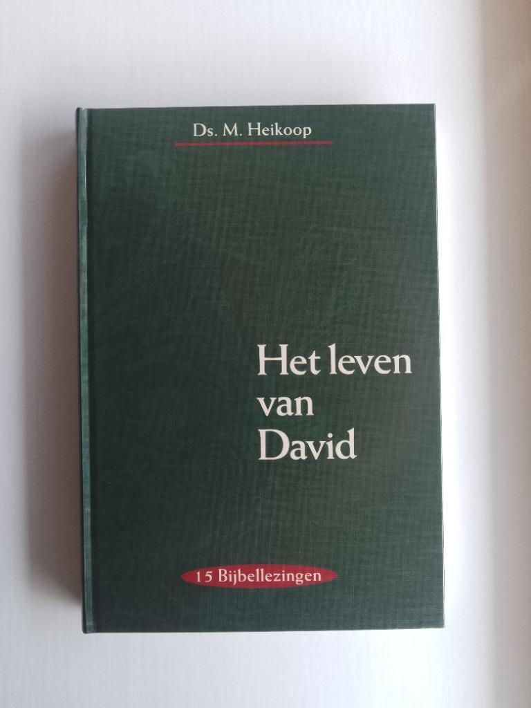 Het leven van David - ds. M. Heikoop, Boeken, Christendom | Protestants, Ophalen of Verzenden, Zo goed als nieuw, M. Heikoop