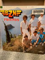 13 BZN LP's, inclusief enkele dubbel LP's, Ophalen of Verzenden, 1980 tot 2000, Gebruikt, 12 inch
