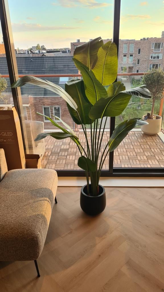 Strelitzia kunstplant - 170 cm hoog, Ophalen