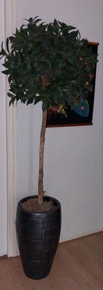 Palm kunstplant, Ophalen