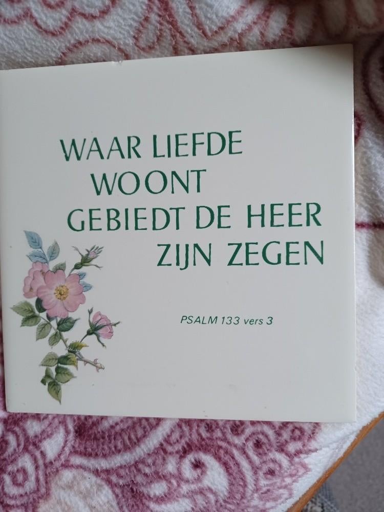 Tegel met spreuk, Huis en Inrichting, Ophalen, Nieuw