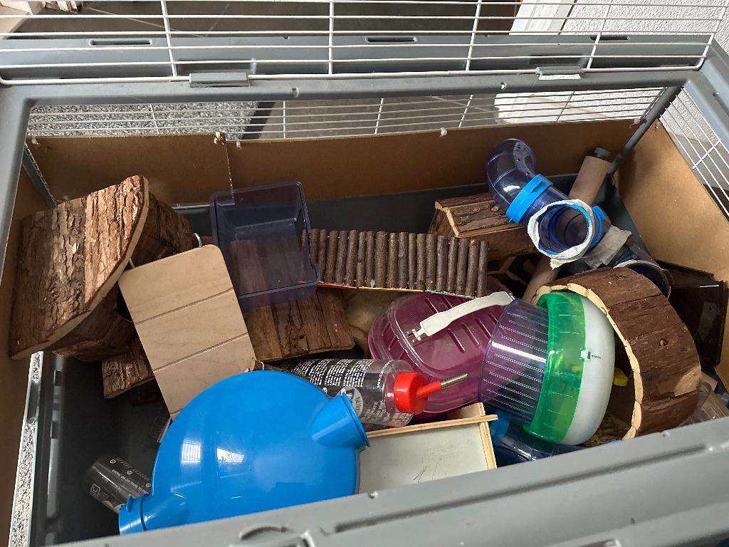 Cavia kooi, Ophalen, Kooi, 60 tot 90 cm, Zo goed als nieuw