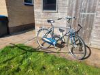 Herenfiets Batavus, 55 cm of meer, Ophalen of Verzenden, Gebruikt, Minder dan 10 versnellingen