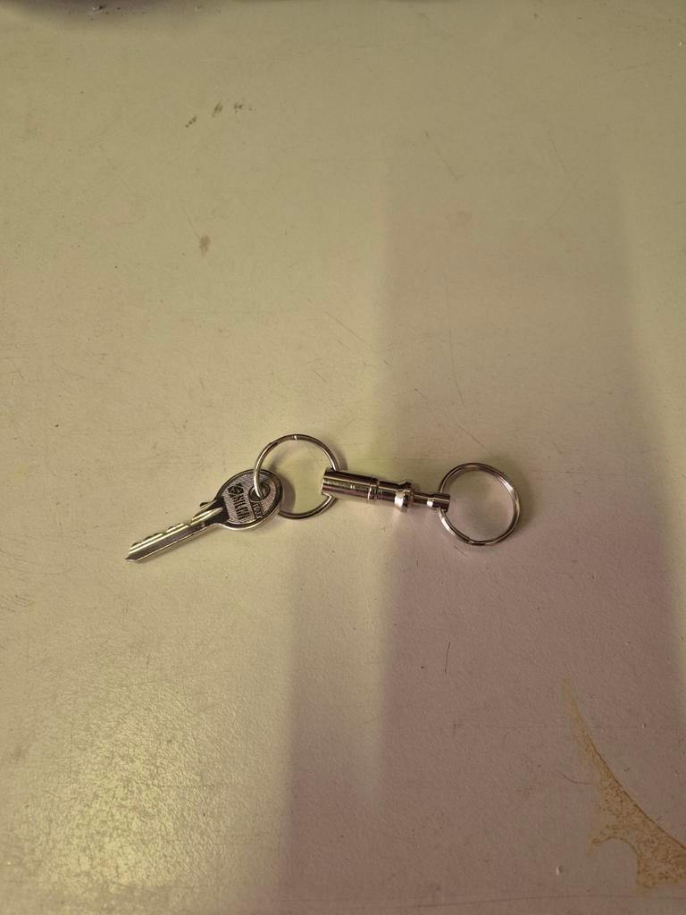 Sleutelhangers met snelsluiting, Ophalen of Verzenden