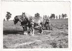 Foto 1934 - Paard Paarden Ploeg Ploegen Boerderij Landbouw, Gebruikt, Foto, Ophalen of Verzenden, Voor 1940