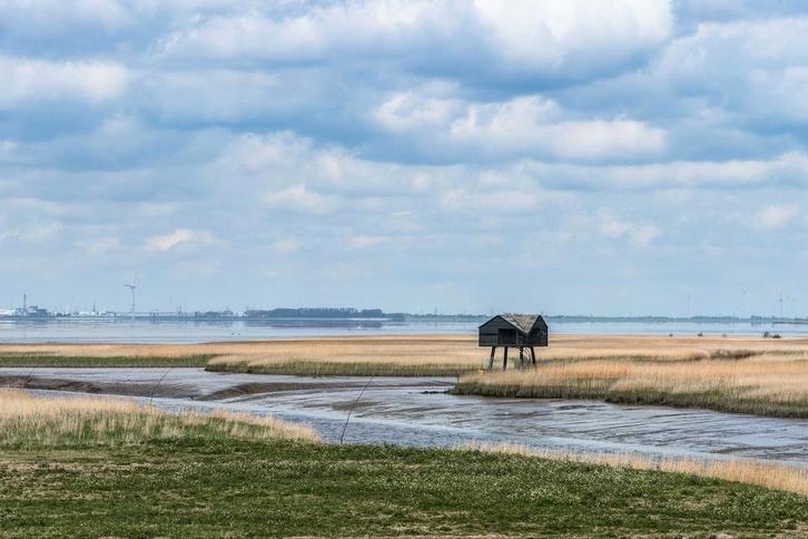 Eerlijke man zoekt dito dame voor vriendschap, Contacten en Berichten, Man zoekt Vrouw