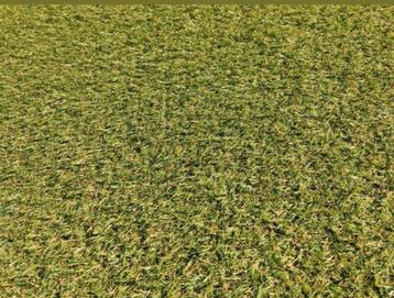 Kunstgras nieuw 3x4 4x4 5x4 6x4 7x4 8x4 9x4  beschikbaar voor biedingen