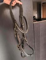 Anatomisch hoofdstel va Ascot maat full, Dieren en Toebehoren, Paarden en Pony's | Hoofdstellen en Tuigage, Ophalen of Verzenden