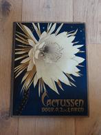 Cactussen Verkade album, Ophalen of Verzenden, Gelezen, AJ van Laren, Plaatjesalbum