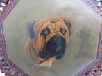 Schilderij hond Bullmastif op paneel wanddecoratie, Ophalen of Verzenden, Gebruikt